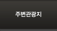 교육